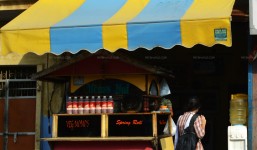 Momos Hut-Udhampur-Street Food-Adarsh Colony