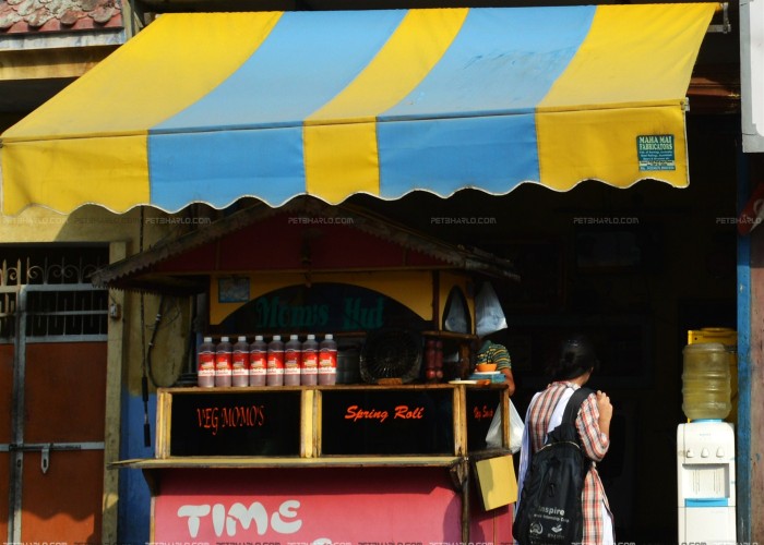 Momos Hut-Udhampur-Street Food-Adarsh Colony